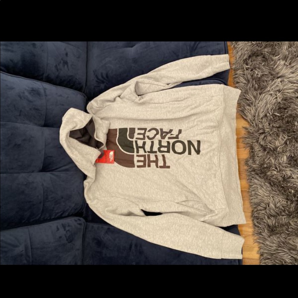 THE NORTH FACE HOODIE
